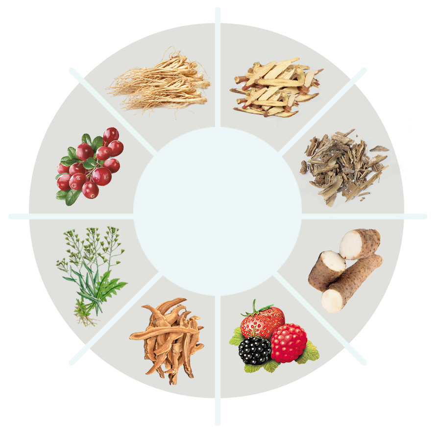 ProstaVive ingredient circle